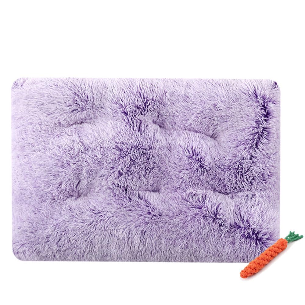 FANSU Dog Bed Mat Cats Beds Pad, Soft Warm Self Heating Pet Pad Gradient Colour Plush Blanket for Puppy Kitten Washable Reversible for Indoor Outdoor Car (M-65X50CM,Purple)