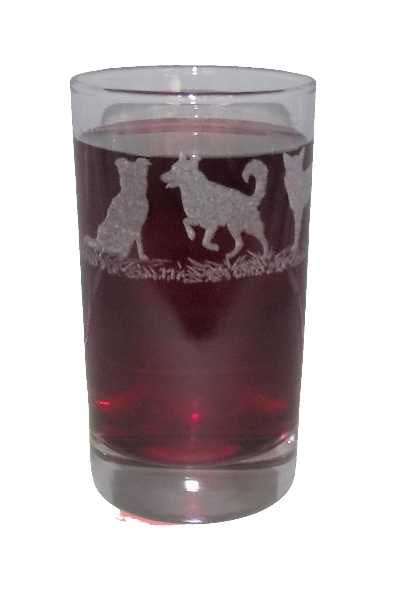 Border Collie Engraved Highball Tumbler โ image 1