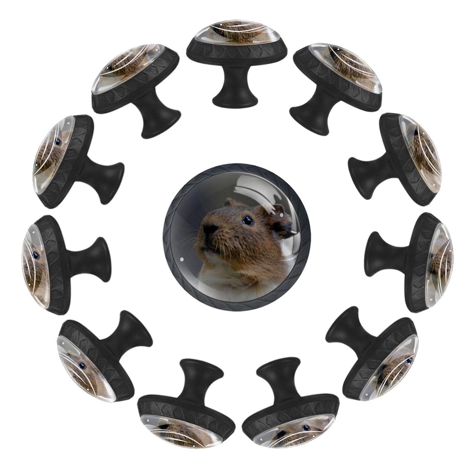 Boutons de tiroir hamster ronds 35 mm : lot de 12 poignées robustes et mignonnes