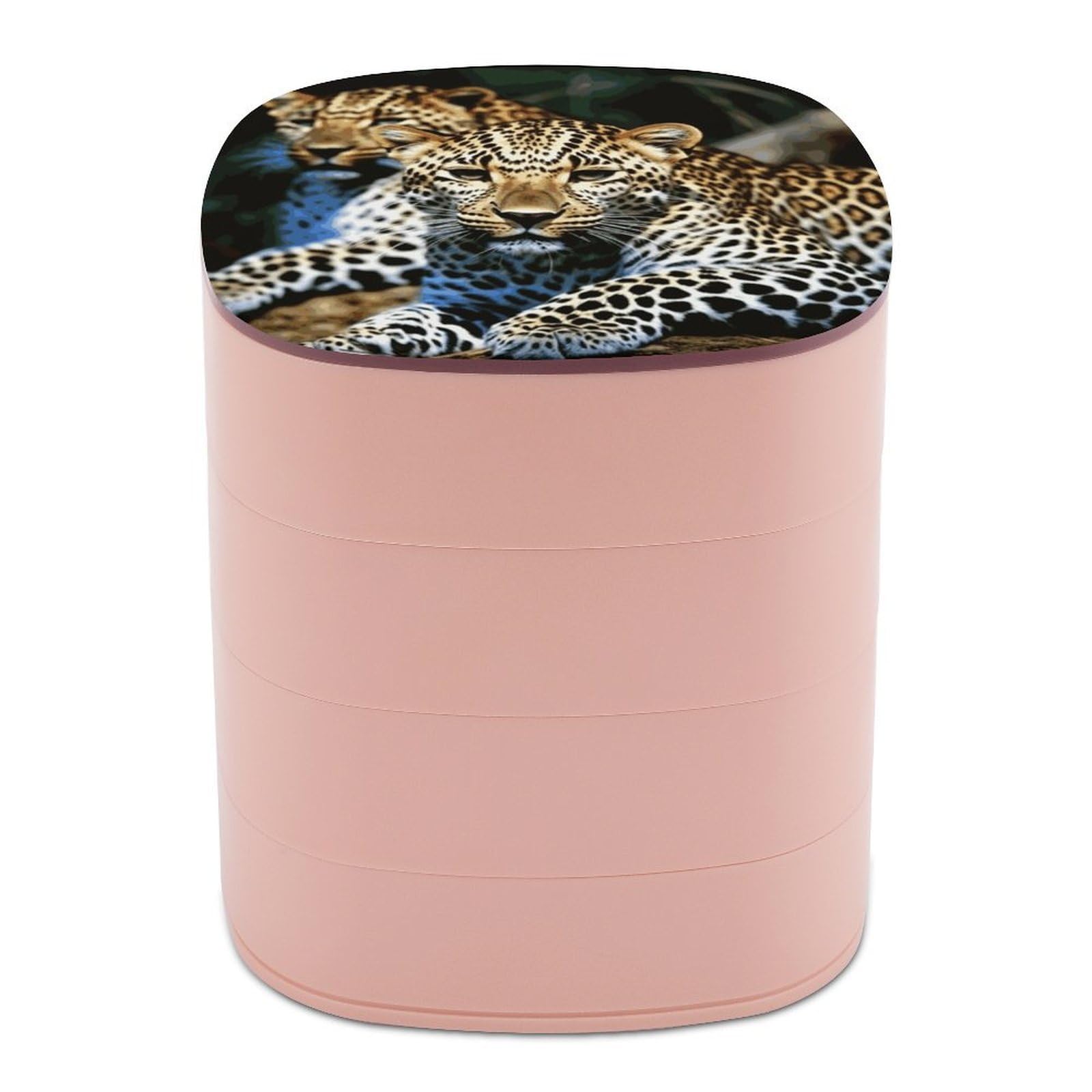 JTREHY Leopard Jewelry Box 4-Layer Covered Rotating Jewelry Storage Box Large Capacity Storage Boxes Portable Jewelry Case for Bracelets Earrings Necklace