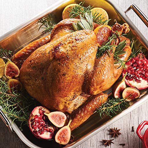 Tramontina 16.75-Inch Stainless Steel Roasting Pan with Rack, Flared Edge Turkey Roaster for Oven, Dishwasher Safe, Made in Brazil - Thumbnail 6