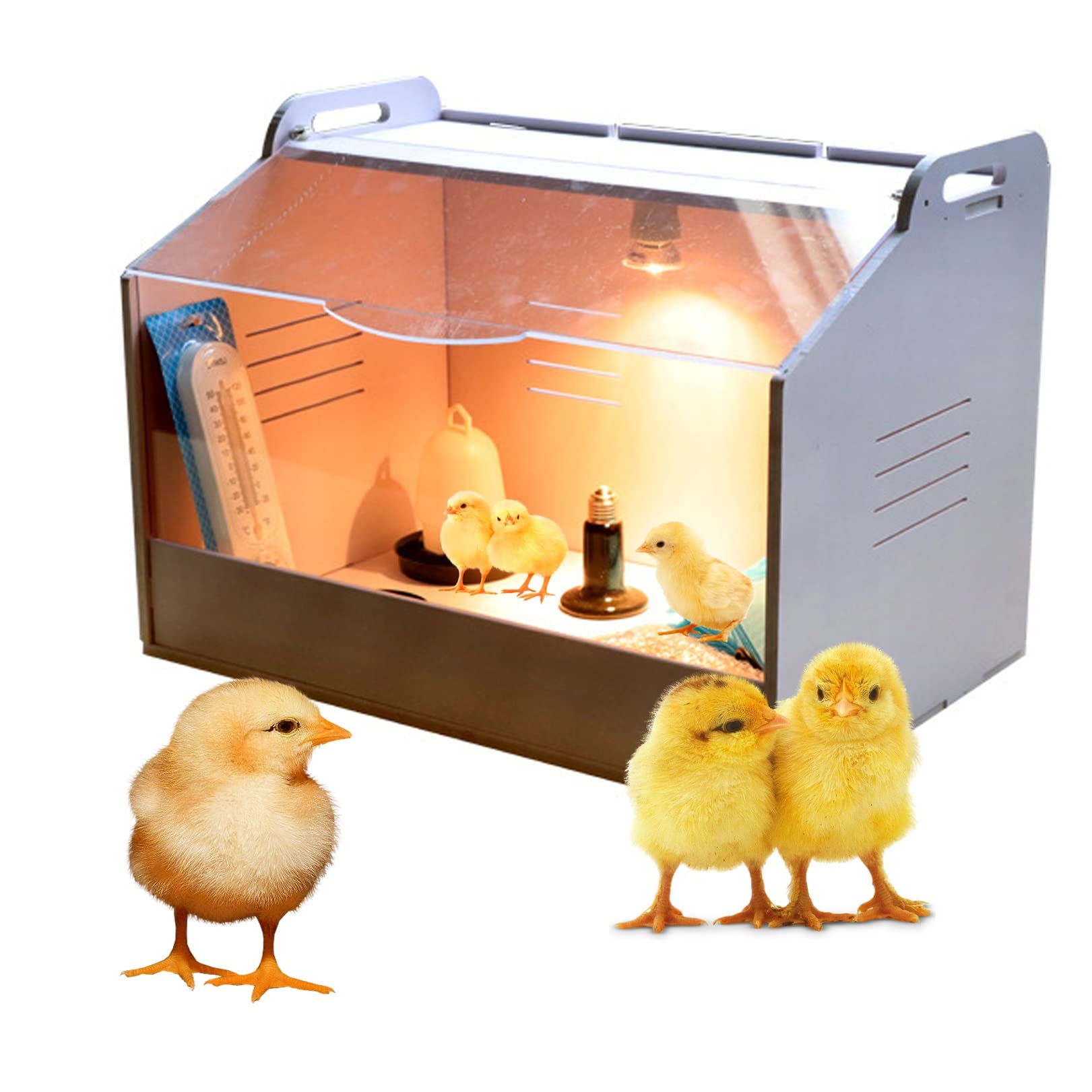 TEmkIn Caja de cría para Pollitos, criadora de Pollitos con Juego de lámpara de Calor, Percha para Pollos integrada y comedero/Bebedero para Pollos