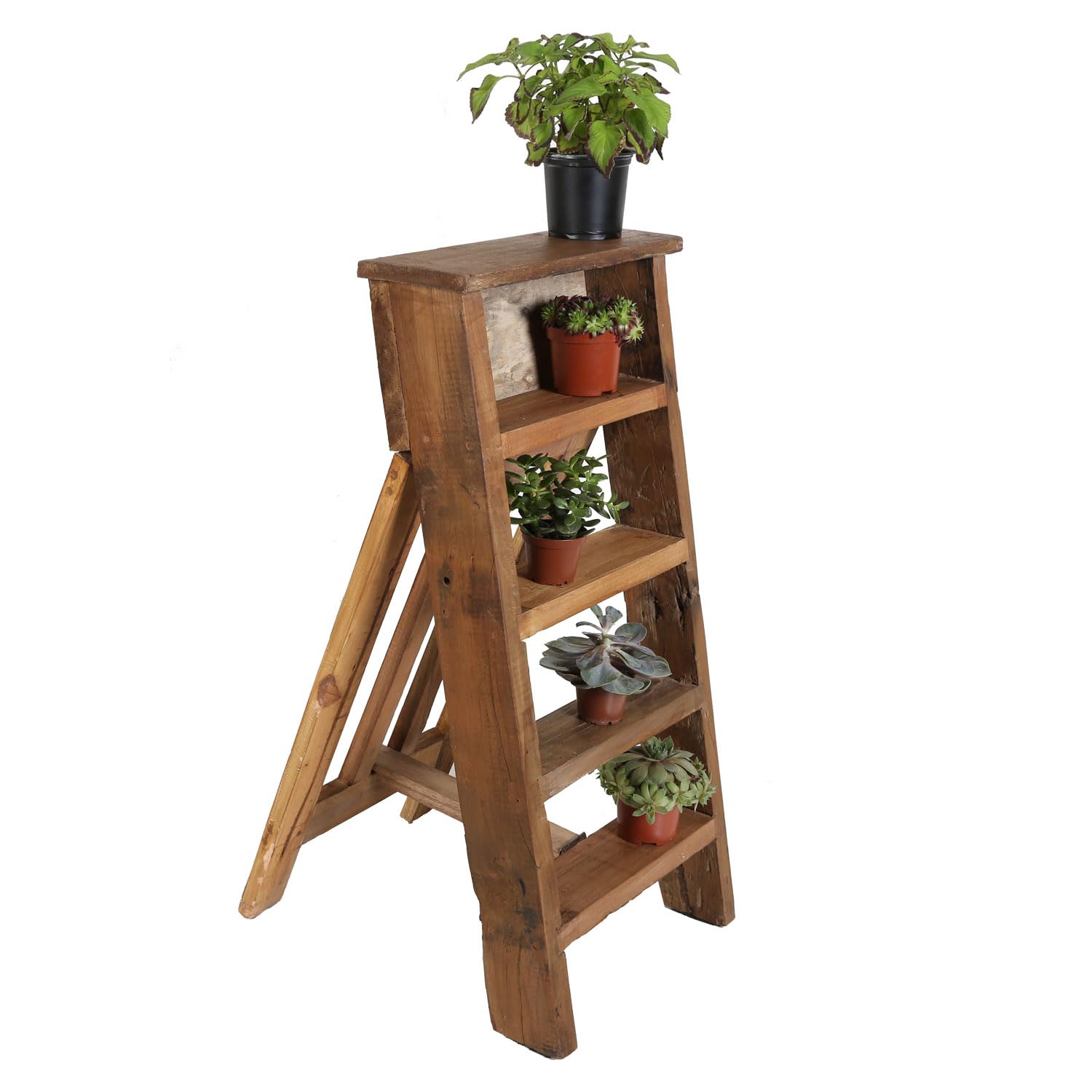 Casa Moro Pflanzenregal ASTI Blumenständer Leiterregal 5 Ablagen klappbare Pflanz-Etagere aus recycelltem Teak-Holz