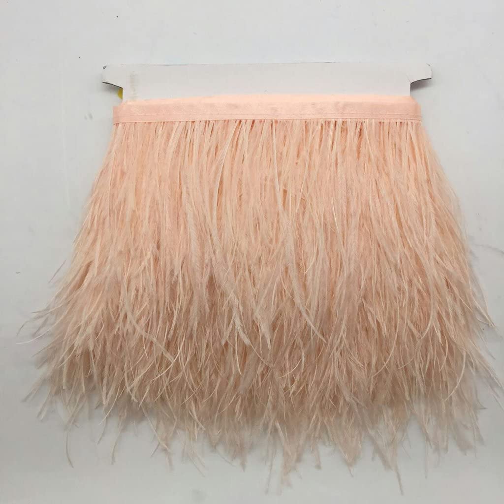 フランスアンティーク　オーストリッチフェザー　ツートン　ostrich　Feather　ディスプレイ