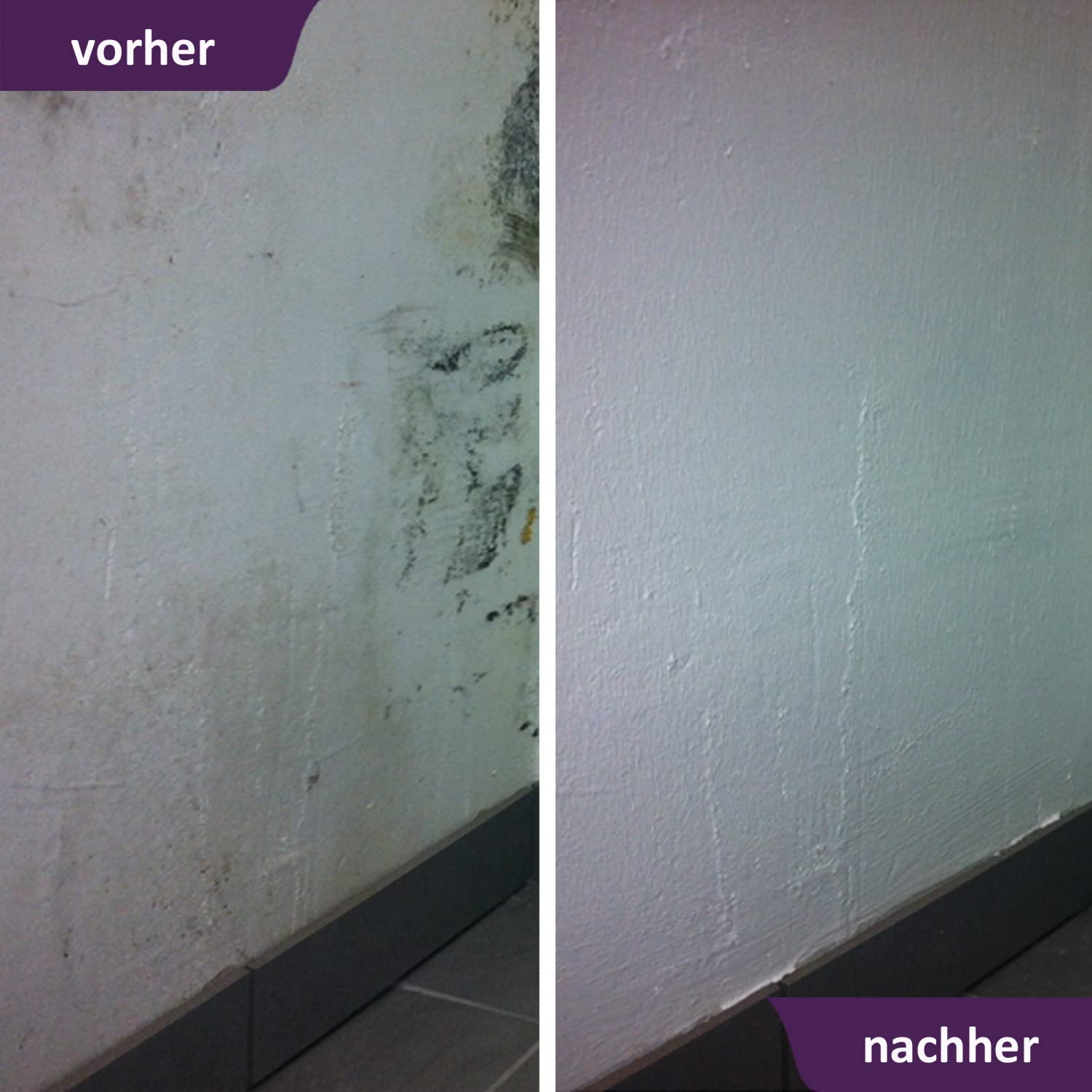 MycoSolan Schimmel-Sanier-Set und Anti-Schimmel-Set mit Schimmelentferner, Streichwerkzeug und Innenfarbe gegen Schimmel (5,0 Liter)