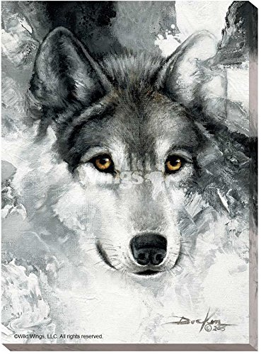 Snow Wolf Wrapped Canvas by Russ Docken