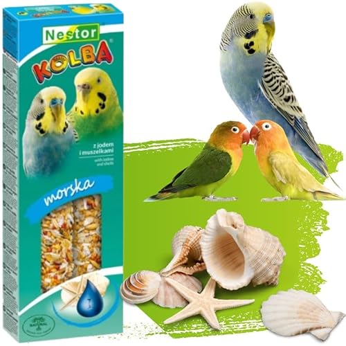 2x Budgie Sticks Sea Flavor with IODINE and SHELLS Parakeets Flask Bird Food 85g Canary Parrots Parakeet Finches Canaries Budgies Pet Seed Treats Pack of Two Hooks