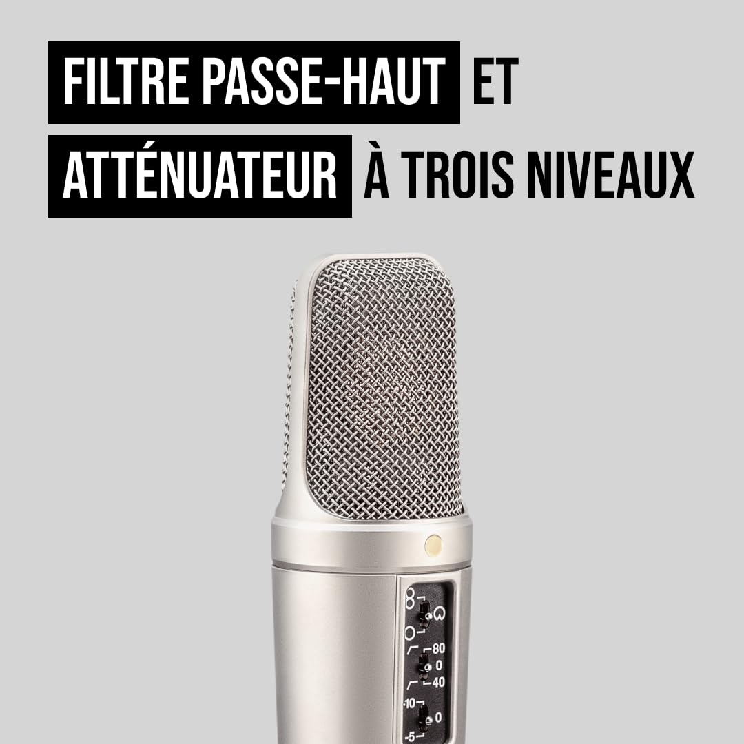 RØDE NT2-A Microphone à condensateur à large membrane polyvalent avec motif polaire commutable, pad et filtre passe-haut pour enregistrement vocal et instrumental