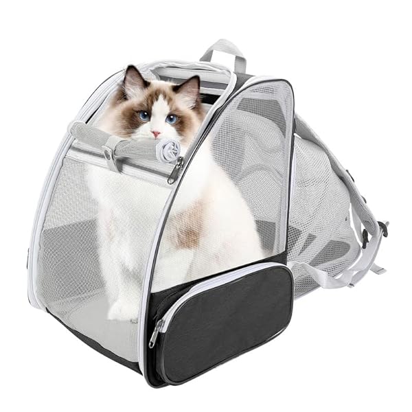Cat-BackpackLarge-Expandable-Pet-Carrier-BackpackCat-BookbagAirline-Approved-Pet-Travel-Backpack-Carrier-BagClear-Outdoor-Hiking-Backpack-for-Small-Dog-Cat-Puppy-Kitten-Bunny-Bird-Chicken-Black Cat Backpack - The Perfect Pet Carrier for Your Adventurous Cat