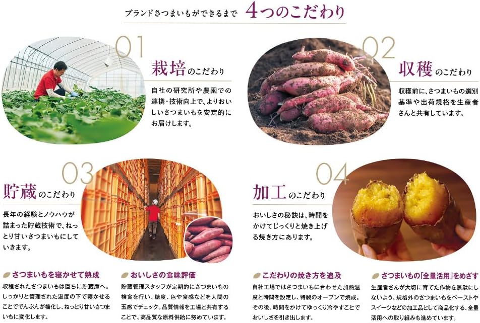 茨城県産 紅天使 【からすみ】 焼き芋 500g×20袋（ねっとり濃厚な甘さ）