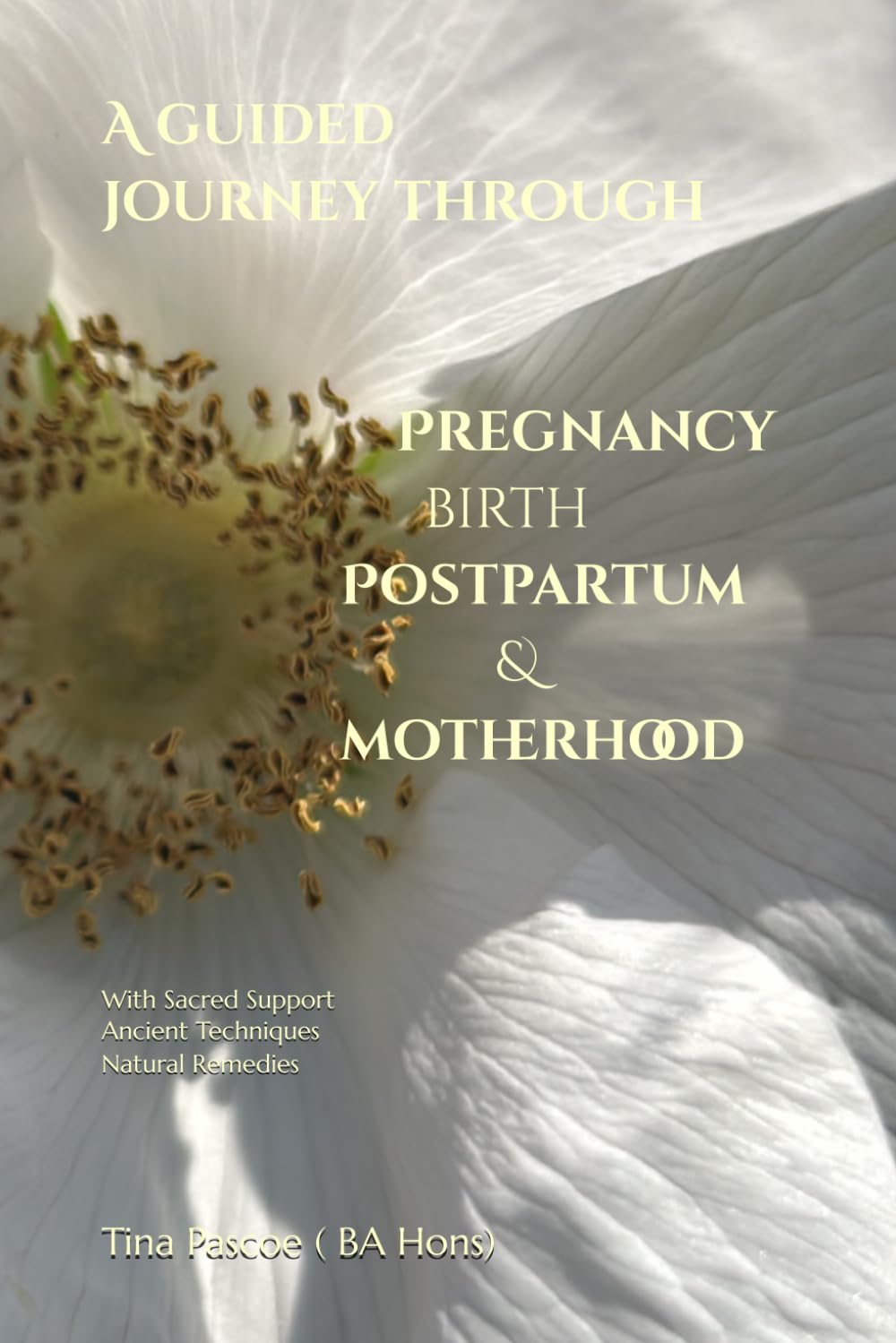 A Guided Journey through Pregnancy, Birth, Postpartum & Motherhood: With Sacred Support, Ancient Techniques, Natural Remedies, Healing Rituals.