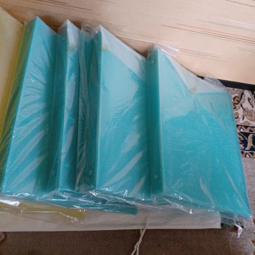 Amazon.co.jp: B'z 会報誌 専用バインダー 10個 セット : 文房具