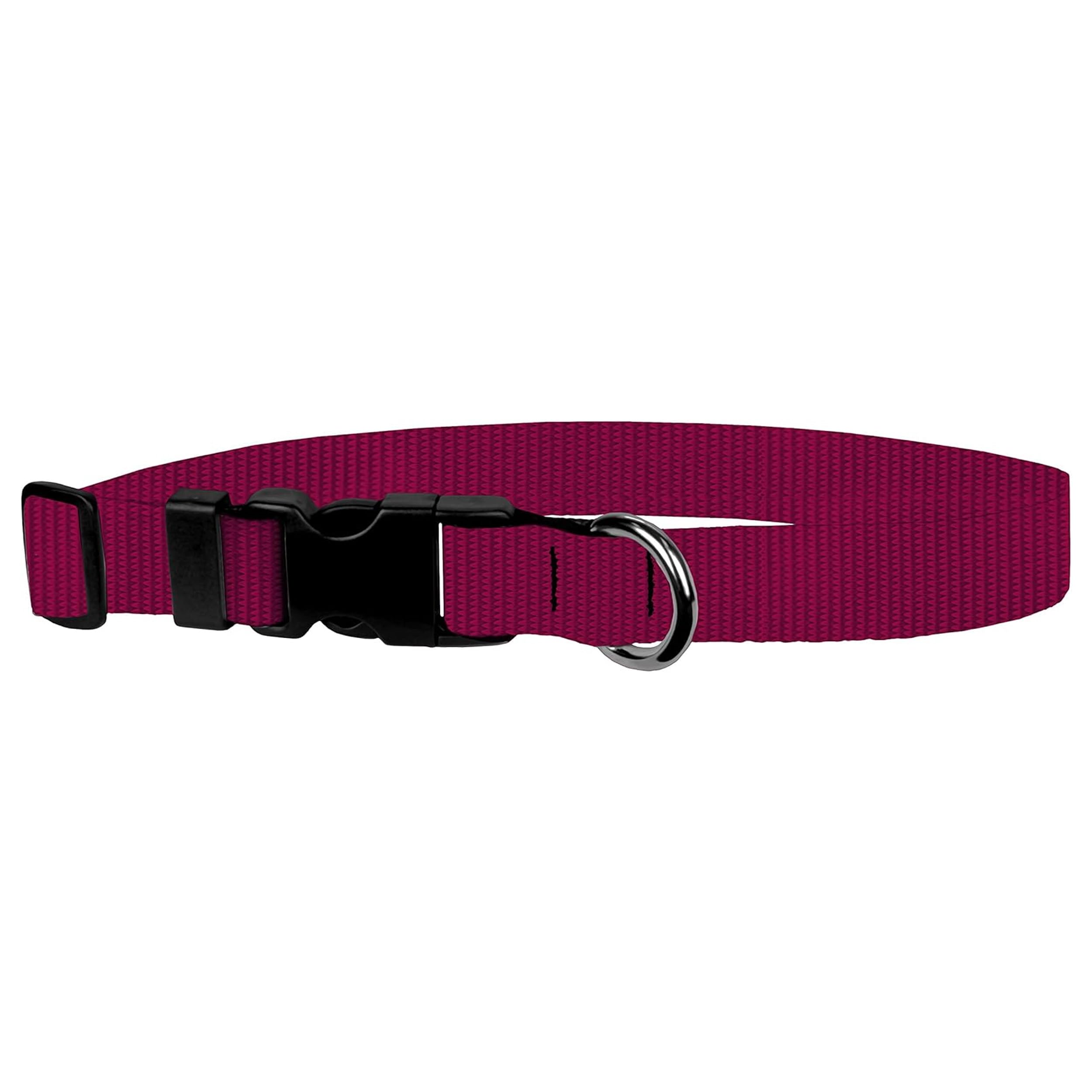 Dog Collar - Colored Adjustable Pet Collars, 1 Inch Wide, Medium, Raspberry