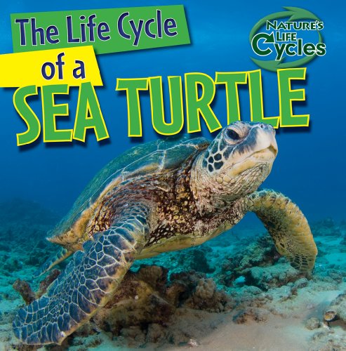 The Life Cycle of a Sea Turtle (Nature's Life Cycles)