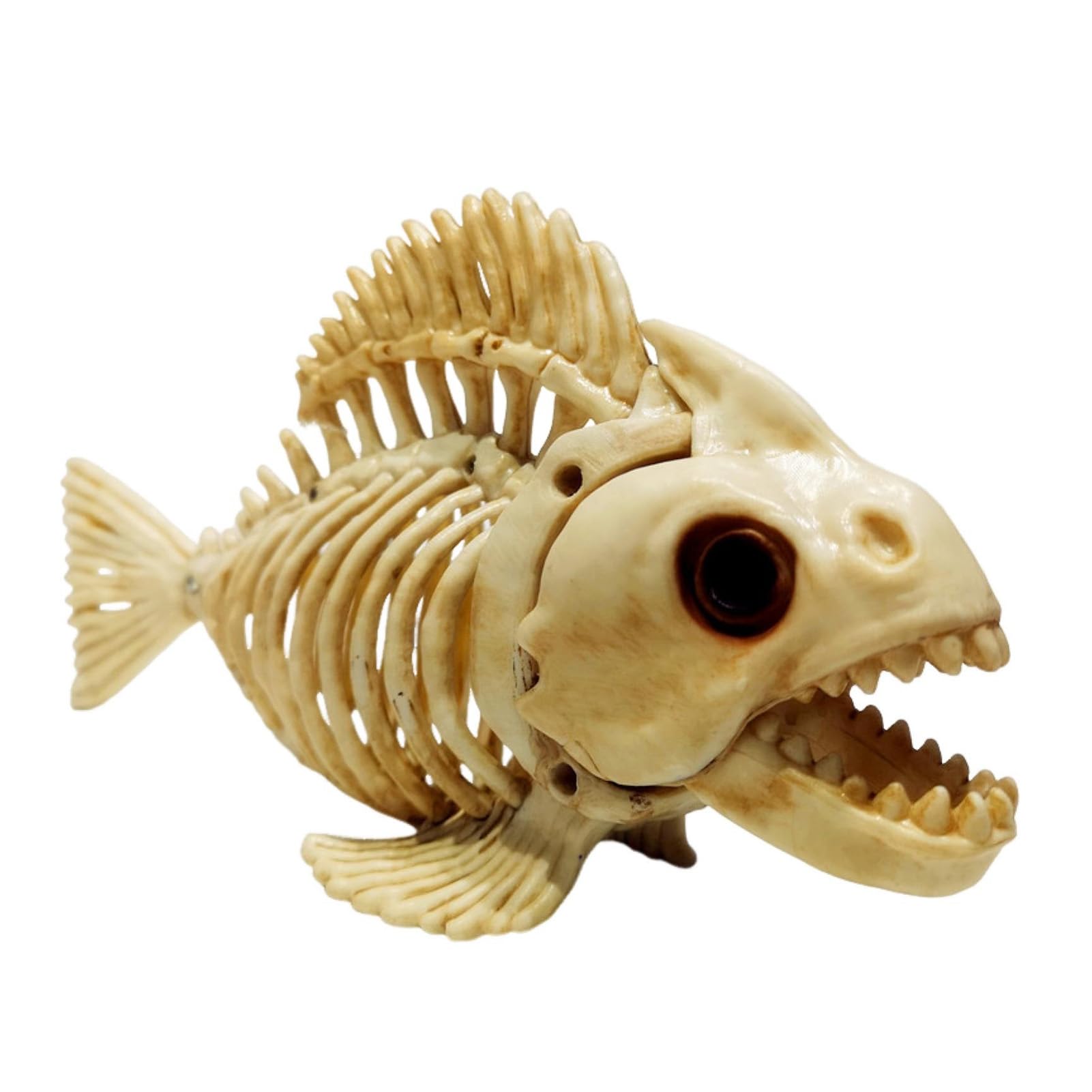 Modelo de anatomía de peces, modelo de esqueleto de carpa, esqueleto de plástico realista, modelo de pez, decoración de Halloween, adorno para el hogar, oficina, bar, fiesta, color blanco
