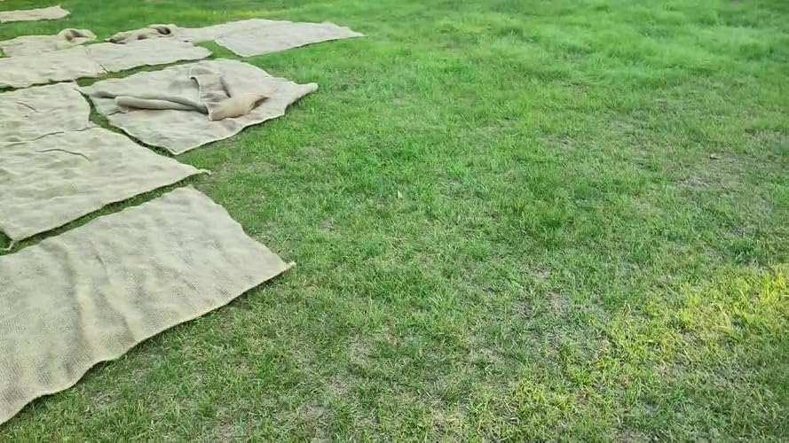 Rise Magic 3 Rasensaatgut – Kältebeständig, Schnell Keimend, Für 240 M², ökologisch & Pflegeleicht
