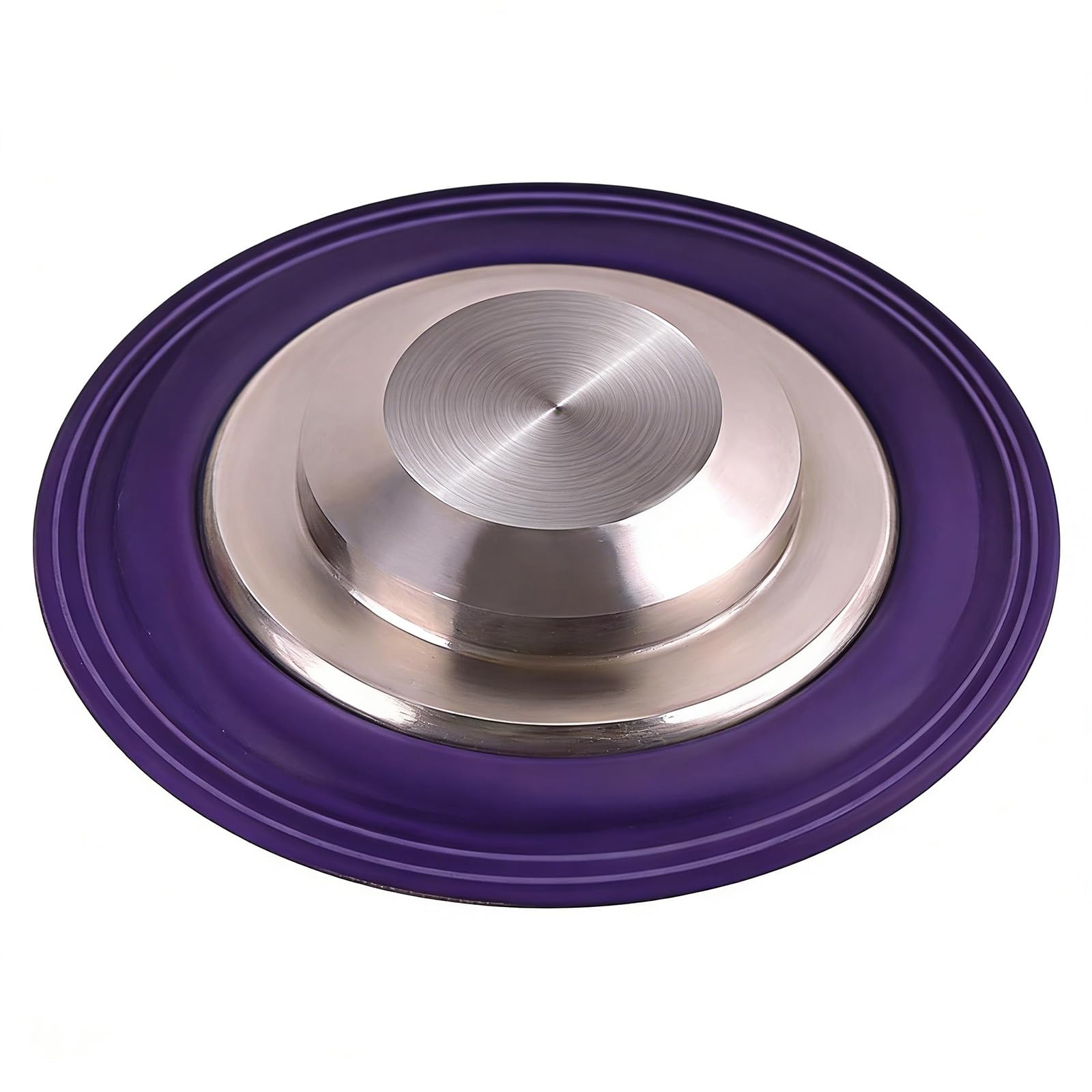 Amazon.com: XYgdhqpt 8M6002988 Fuel Rail Air/Fuel Regulator