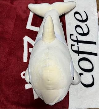 名古屋港水族館　シャチ　白　ぬいぐるみ　ぬいぐるみくじ　特等　アルビノ Amazon.co.jp: 名古屋港水族館 限定 オリジナル ぬいぐるみ くじ