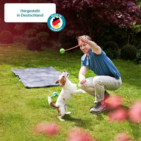ZooRoyal Hund Pastete Huhn mit Pute und Naturreis 9x300g nassfutter hundnahrung grosspackung