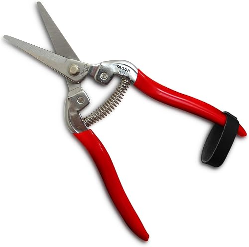 TABOR TOOLS K17A Pruning Snips – 7.5" – Stainless Steel Flower Pruning Scissors for Gardening | Floral Snips and Pruners for Deadheading, Trimming & Harvesting Herbs, Flowers, Fruits or Vegetables