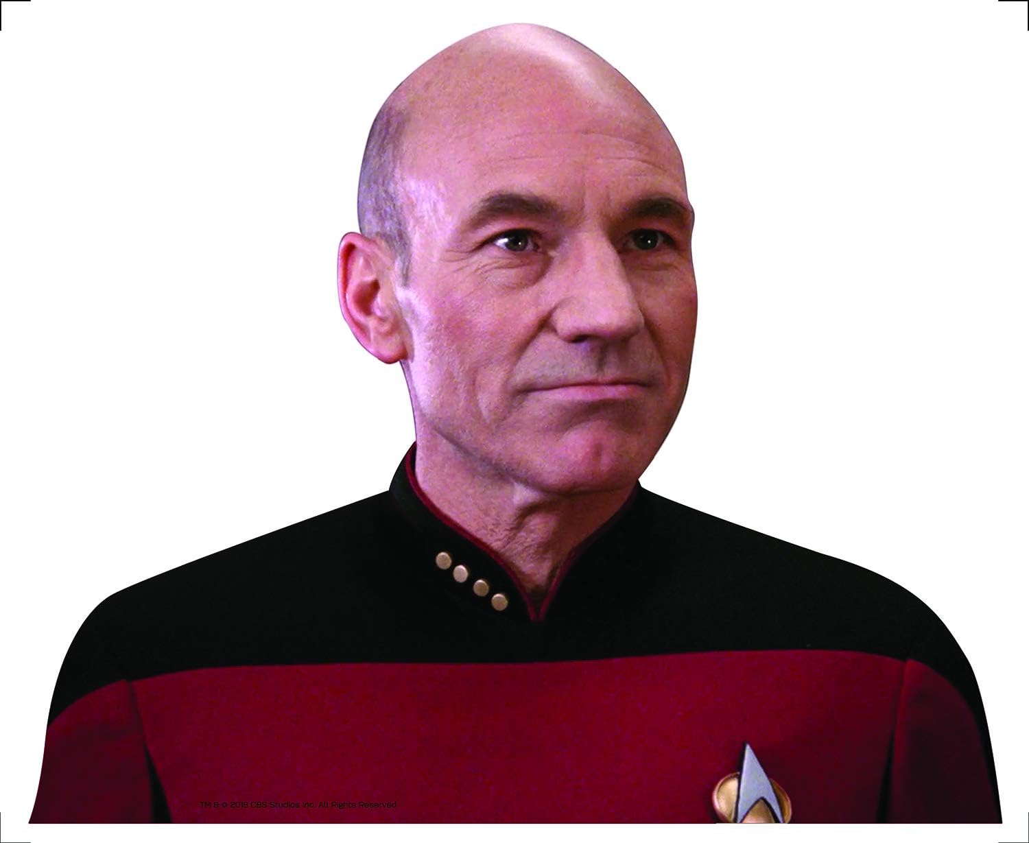 FanWraps Star Trek: The Next Generation Captain Jean-Luc Picard Passenger Series Window Decal