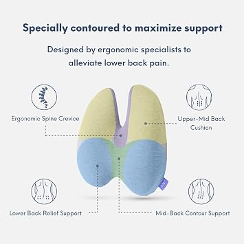 C CUSHION LAB Extra Dense Lumbar Pillow - Patented Ergonomic Multi-Region Firm Back Support for Lower Back Pain Relief - Lumbar Support Cushion with Strap for Office Chair, Car, Sofa, Plane - Grey