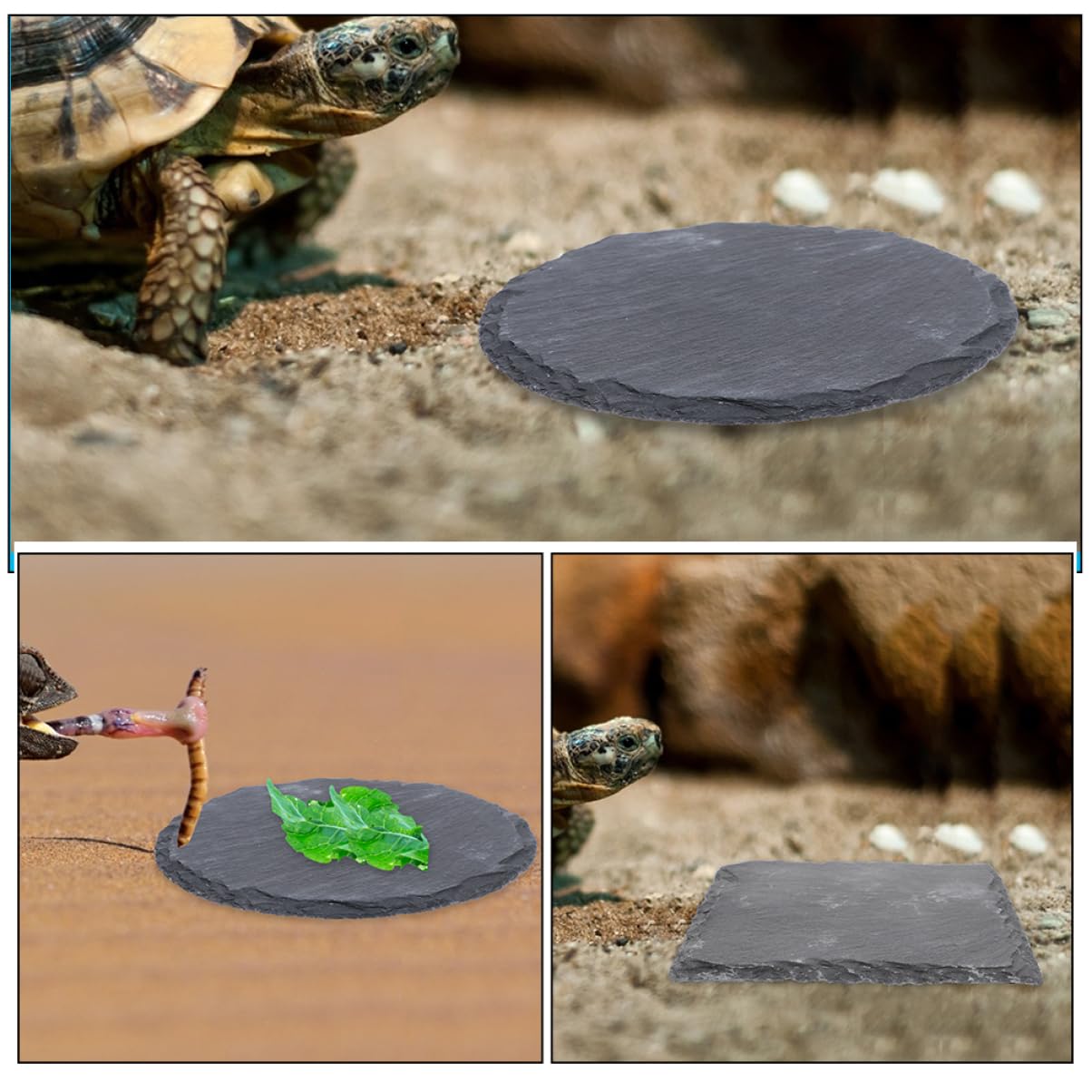 Abaodam 2 Stück Stabile Sonnenplattform aus Felsen als Futterpflanzen für Landschildkröten Multifunktionale Schildkrötenplattform für Aquarium und Reptilienzubehör