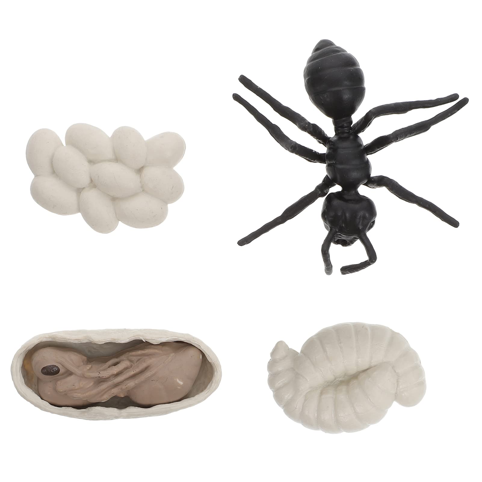 ibasenice 1set Vivid Education Toys Lifelike Science Kid for Party Figures A Life Kids Ornament Cognitive Safariology Realistic Child Early Plastic Animal Playthings Biological