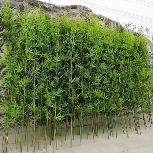 lH|ǁAlHtFCN|AvCoV[tFXAz[tFCN|O[EH[A[fBoC_[ApeBItFCN|vCoV[tFXEH[ 1.2m/3.94ft