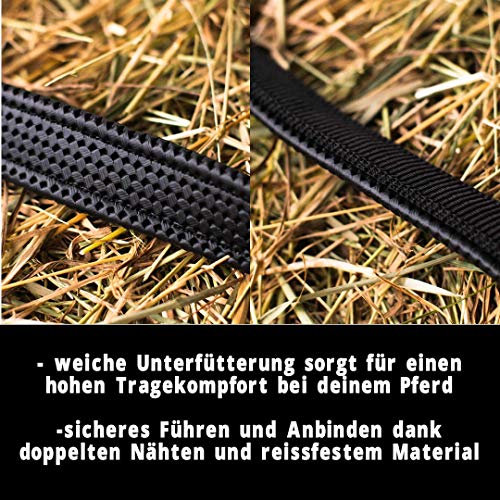 Licol réglable 2 fois Pferdelinis sûr pour cheval Vollblut Cob - 3