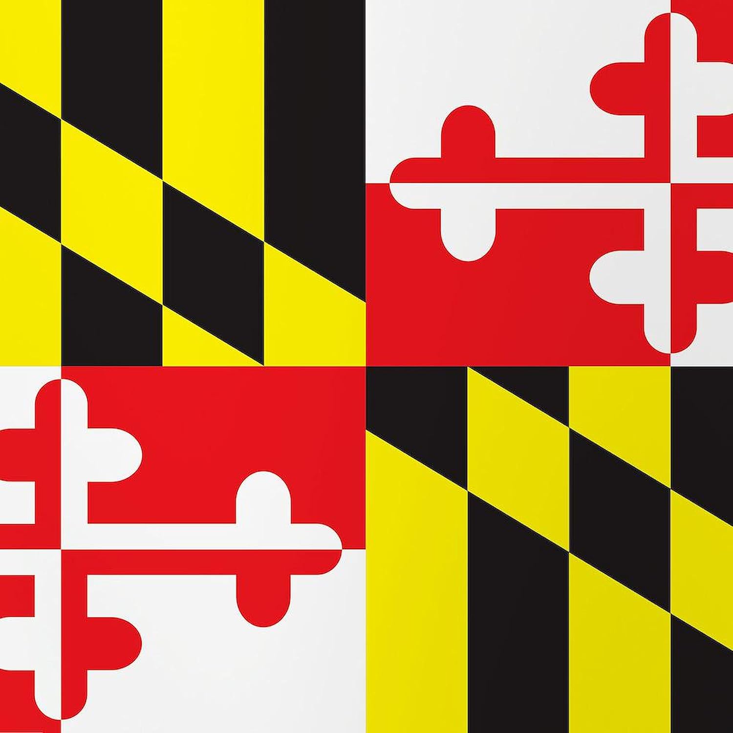 CafePress Maryland Flag Pint Glass, 16 oz. Drinking Glass