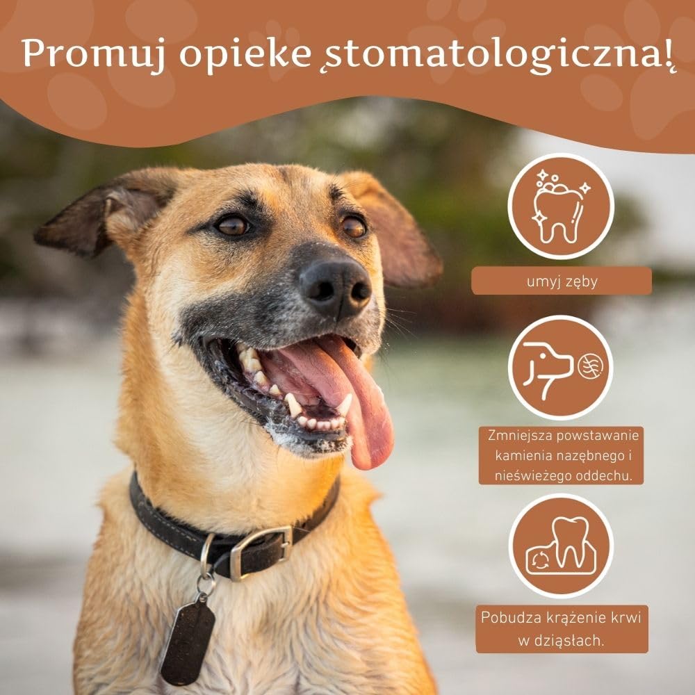 Wildfang® Gryzak z drewna kawowego XL – Wytrzymała zabawka, ząbkowanie szczeniąt, trening żuchwy, naturalny patyk dla bardzo dużych psów (powyżej 45kg), 3 sztuki.
