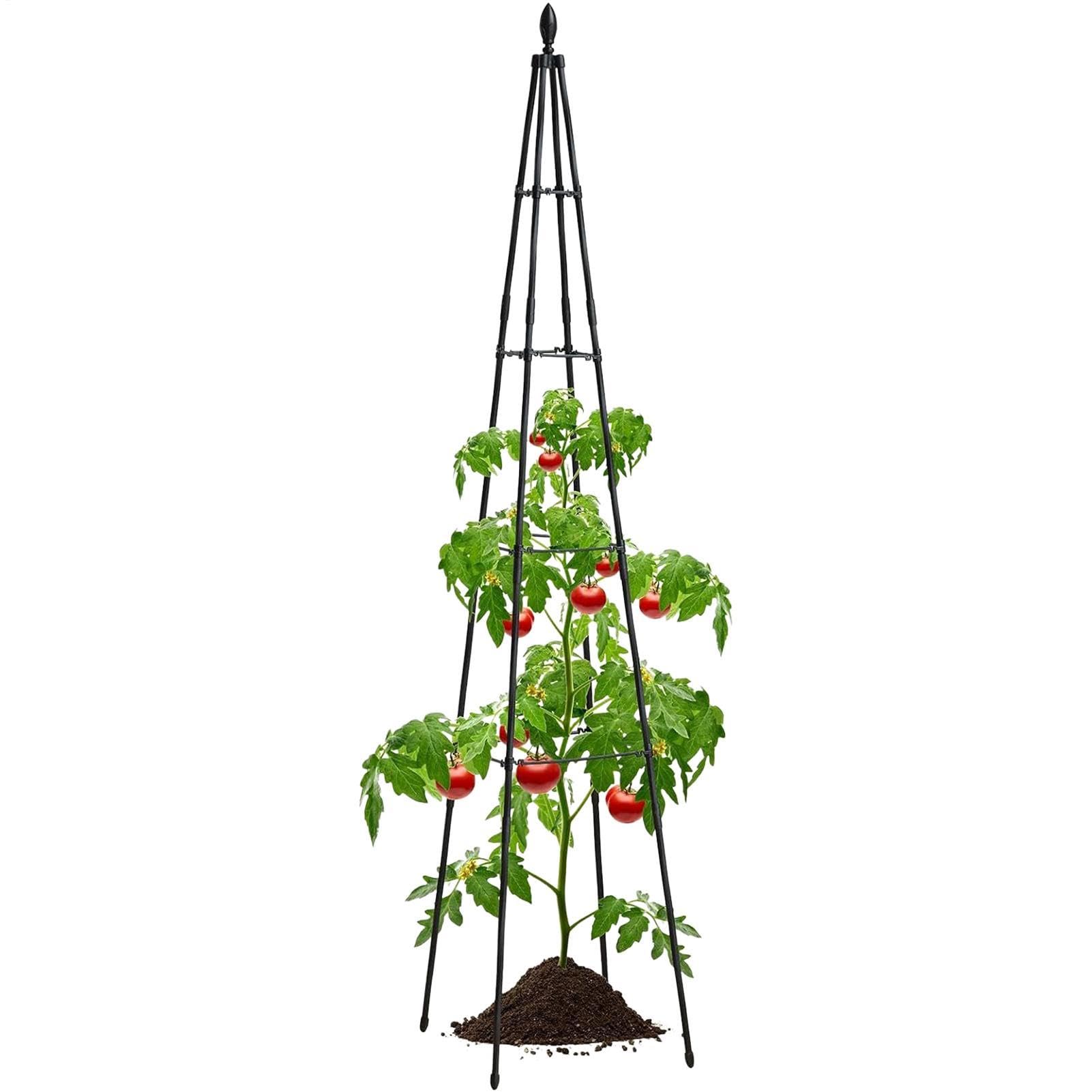 Balcón verde con el estante de torre de escalada de tomates de 63''