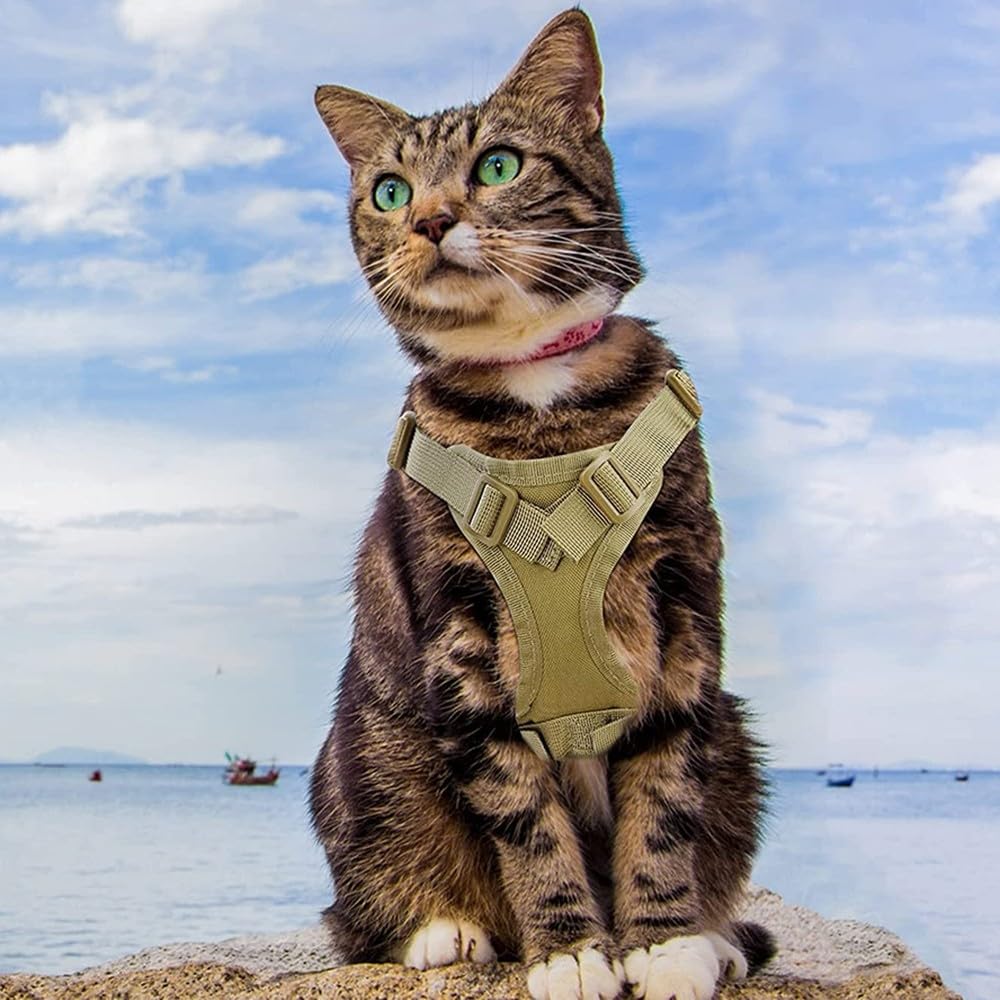 Taktisches Katzengeschirr, ausbruchsicher Katzenweste, verstellbares Haustierwestengeschirr mit Griff für große Katzen und kleine Hunde