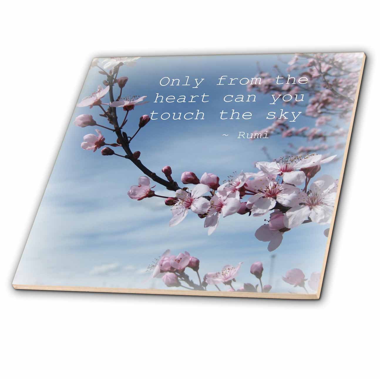 Amazon.com: 3dRose ct_30863_1 Inspirational Zen Cherry Blossom