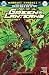 Green Lanterns (2016-) #16