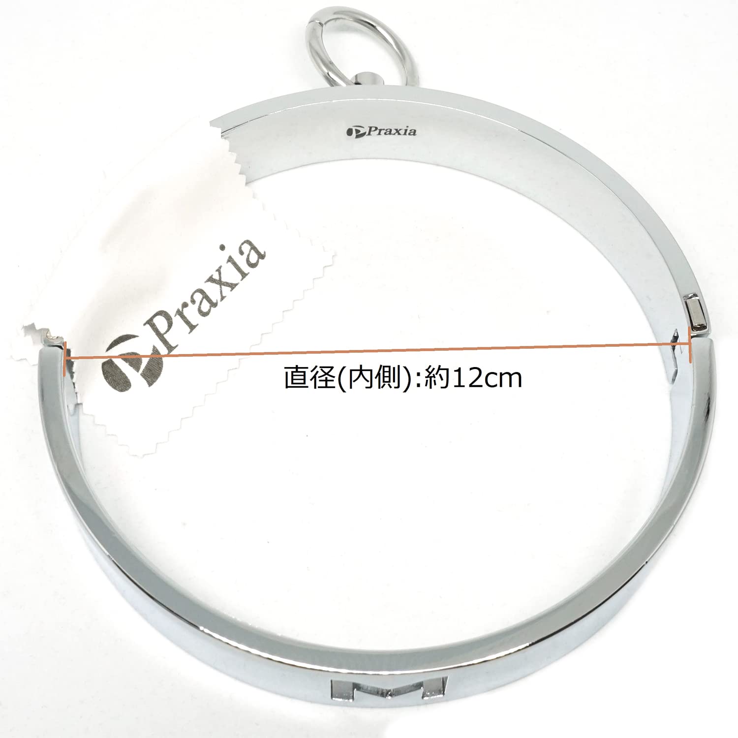 Amazon | [Praxia] 金属製 首輪 施錠 チョーカー M文字デザイン (女性