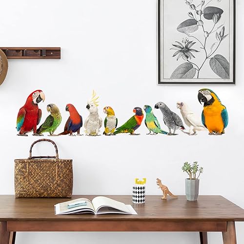 Miniatura 2 de Calcomanías de pared extraíbles 3D de pájaros exóticos para mascotas, calcomanías de pared de periquito y guacamayo loro, despegar y pegar para sala