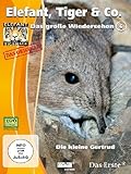  Elefant, Tiger & Co. - Das große Wiedersehen 6