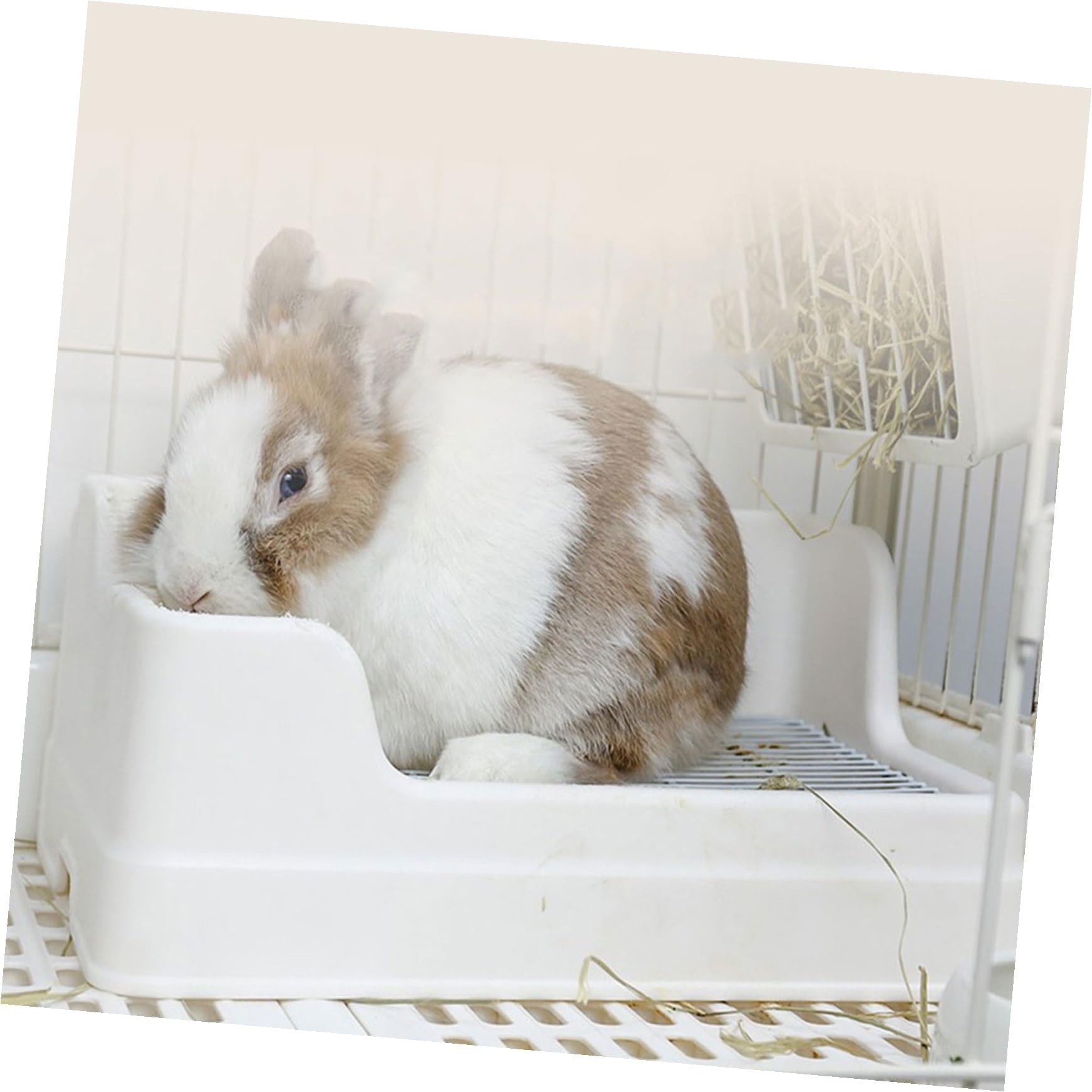 TOYANDONA Toilette per Conigli in Plastica Riutilizzabile Rete Arrotondata Antiscivolo, Vasino per Addestramento Animali Piccoli per Soggiorno e Giardino, Lettiera per Coniglietti e Criceti