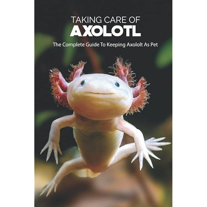 Buy Taking Care Of Axolotl The Complete Guide To Keeping Axololt As Pet Axolotl Caring Guide