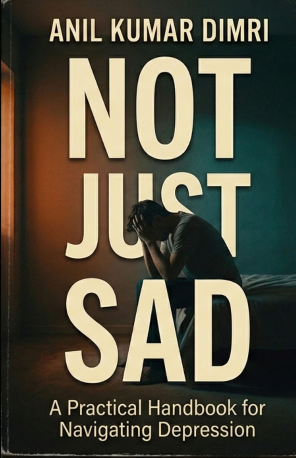 NOT JUST SAD: A Practical Handbook for Navigating Depression