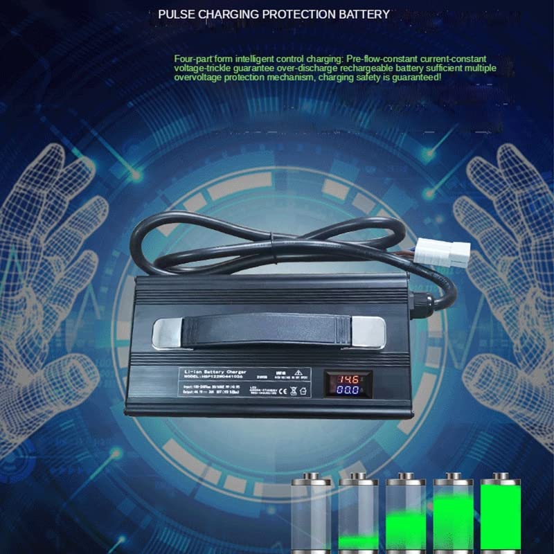 12v 4 0A 24V 30A 20A Chargeur 29. 2V 29.4V 14.6V 20A 25A 12.6V 30A 16.8V 40A for LIHIUM ION LIFEPO4 LI ION Lto Acide de Plomb de la Batterie (Color : 6S 16.8V LTO, Socket Standard : 30A)