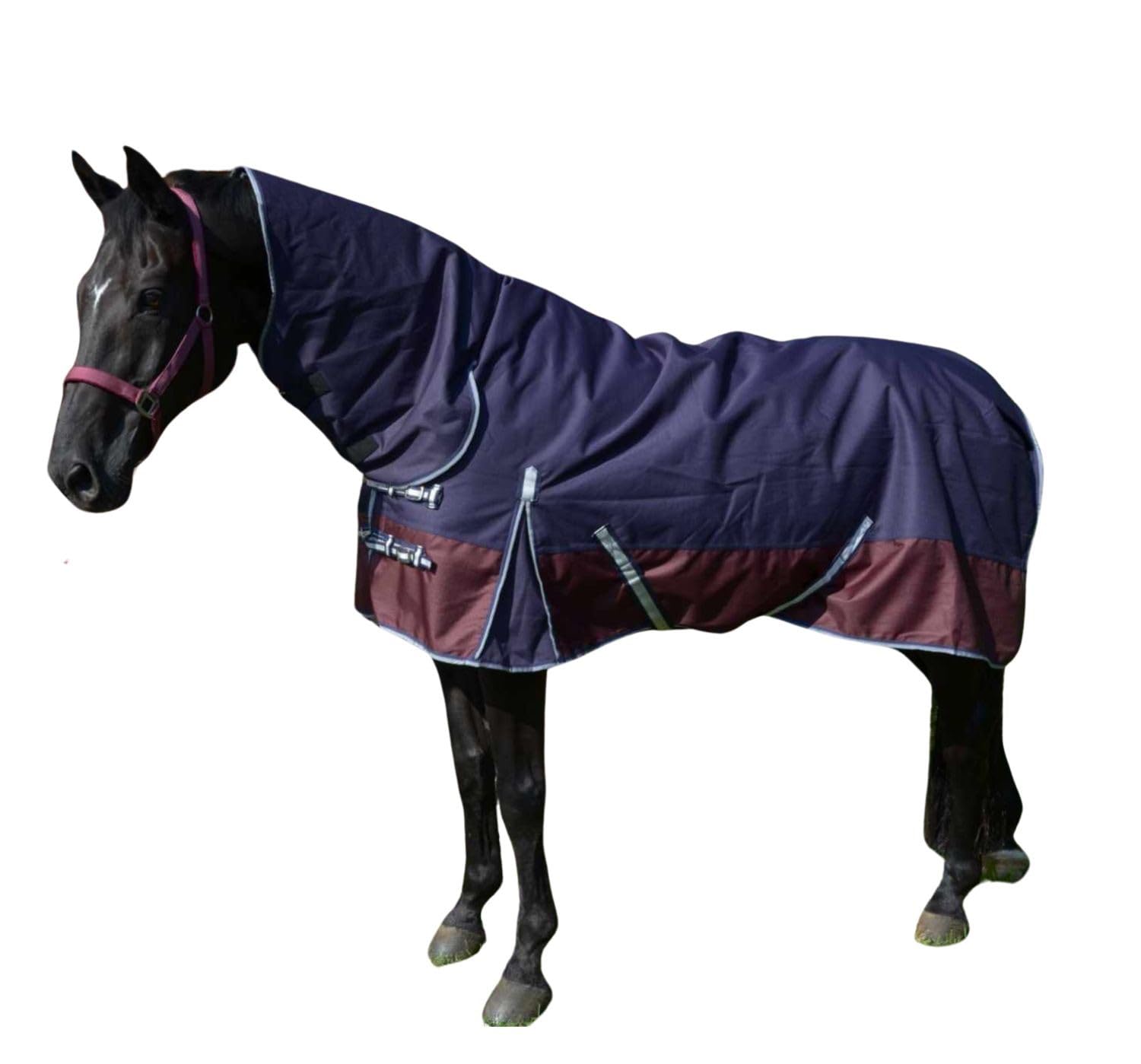 AMKA Pferde Outdoordecke Weidedecke mit Halsteil 1200 D 200g LARVIK