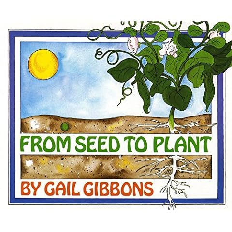 From Seed to Plant Cover