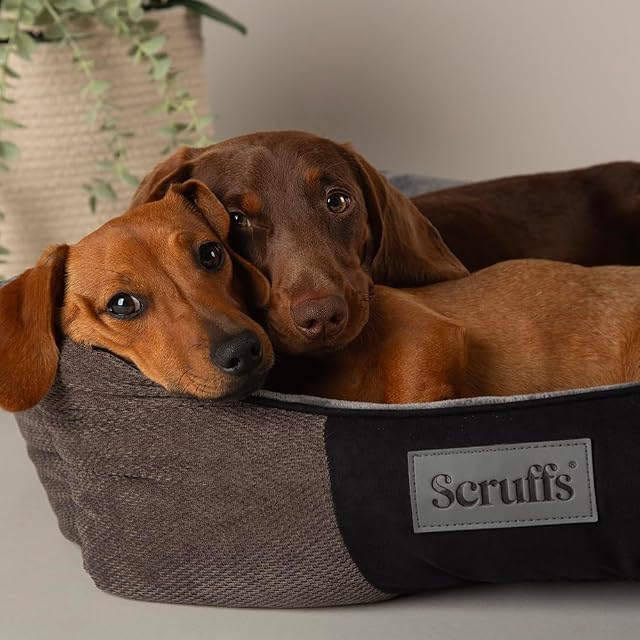 Foto 2 de 3 de Scruffs Chester Box Bed (M) Grafito
