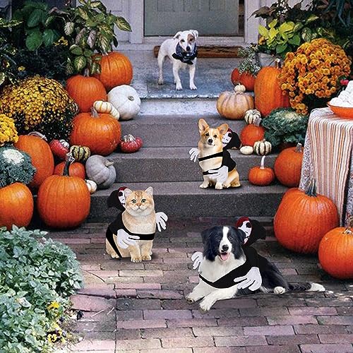 Halloween Haustier Kostüm, Reiter Hundekostüm, Haustiere Party Cosplay Bekleidung, Haustier Hunde Halloween Reiter Kostüm für Kleine bis Große Hunde (XL)