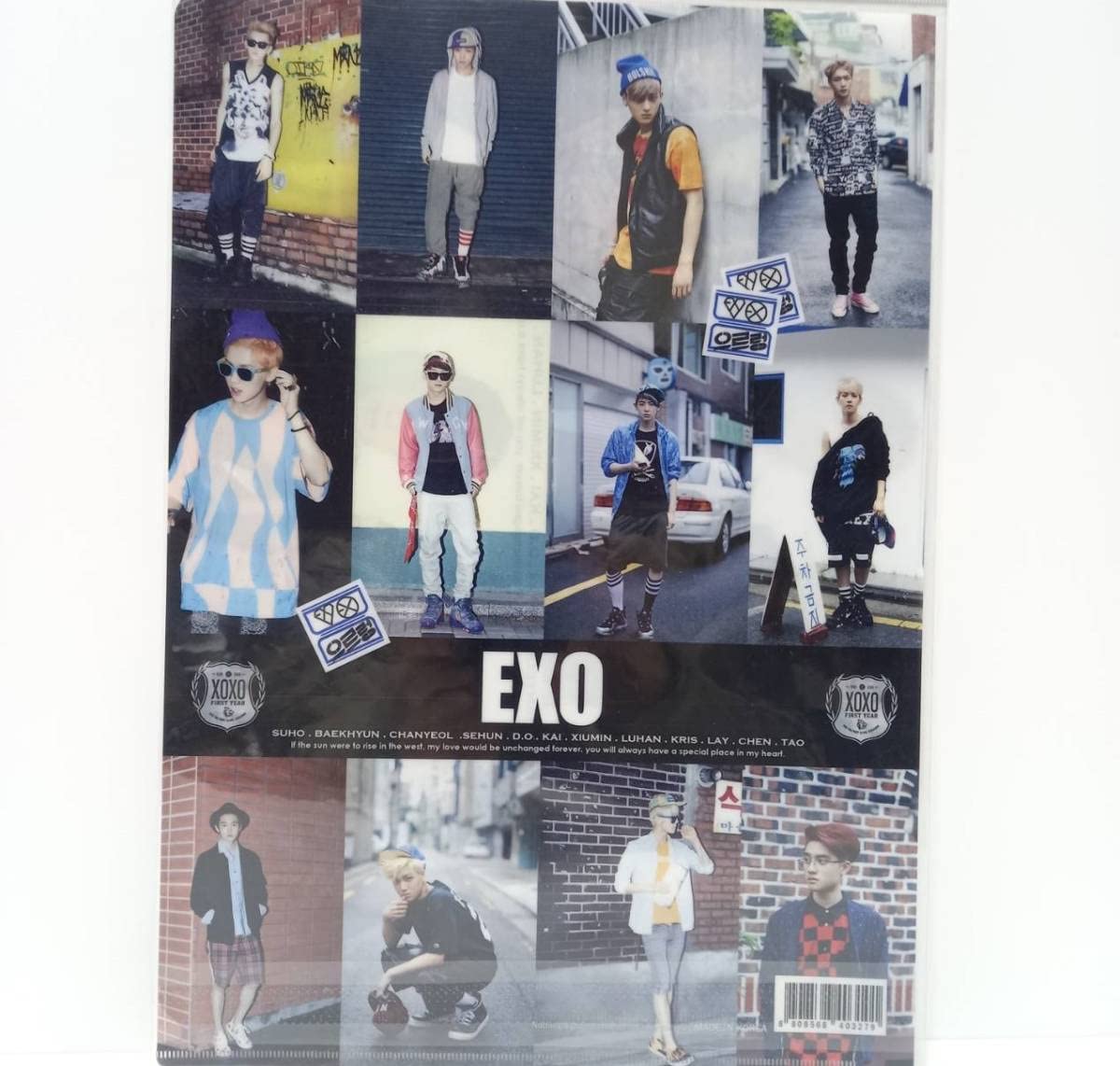 Amazon.co.jp: EXO 12人 クリアファイル A チャニョル カイ セフン 