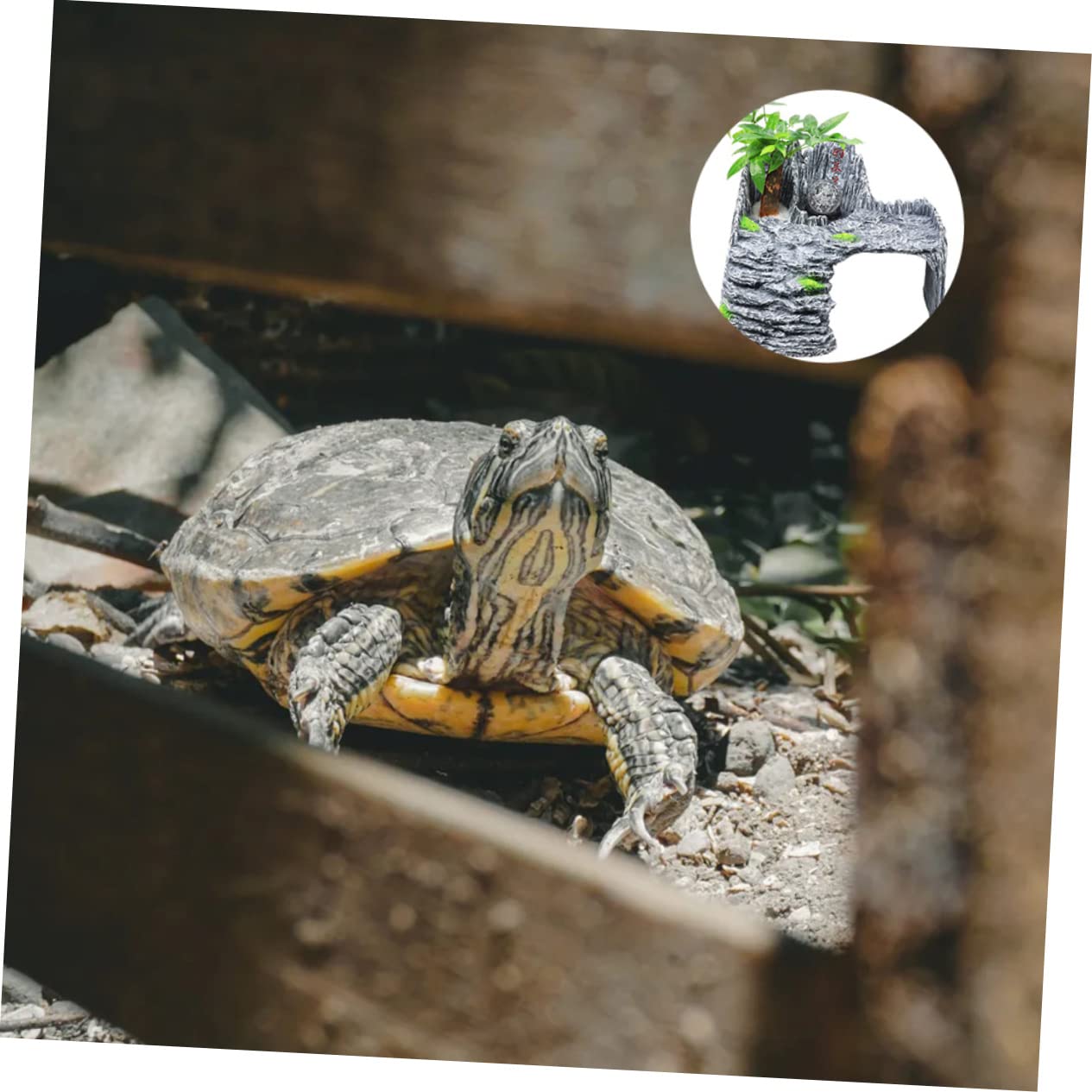 Housoutil Plateforme Inclinée en Résine pour Tortues Reptiles, Décoration Aquarium Facile à Nettoyer Cachette Intégrée, pour Habitat Créatif et Accessoire Aquarium