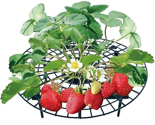 5 soportes de soporte de fresa, soporte de marco de fruta, estante de cultivo de plantas de jardín, estantes de cultivo de flores